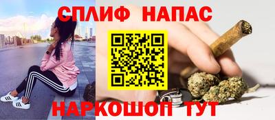 гашик Ливны