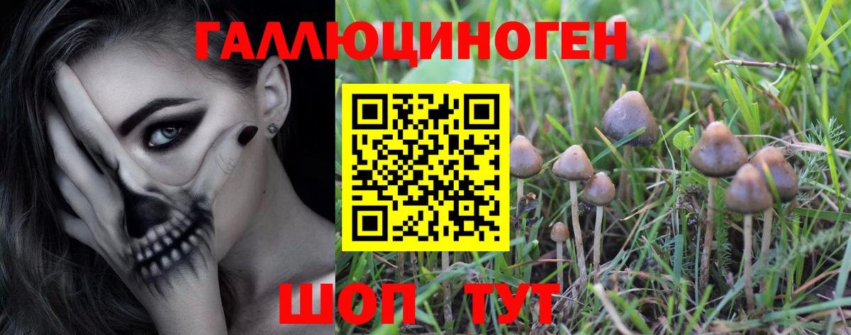 где купить наркоту  Вход с VPN  Киржач  Галлюциногенные грибы MAGIC MUSHROOMS 