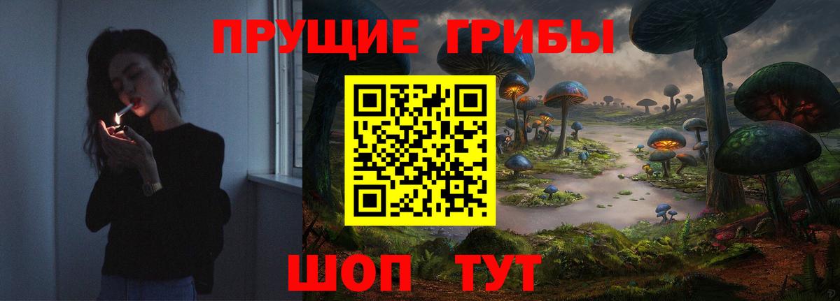 Псилоцибиновые грибы Magic Shrooms  Киржач  Галлюциногенные грибы Cubensis 